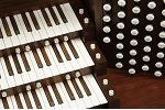Organ of the Week