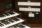 Organ of the Week