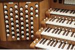 Organ of the Week