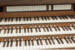 Organ of the Week