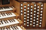Organ of the Week