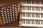 Organ of the Week