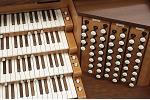 Organ of the Week