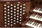 Organ of the Week