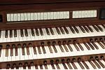 Organ of the Week