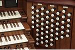 Organ of the Week
