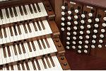 Organ of the Week