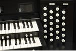 Organ of the Week