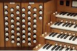 Organ of the Week
