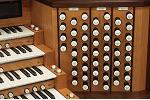 Organ of the Week