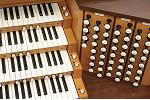 Organ of the Week