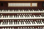 Organ of the Week