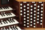 Organ of the Week