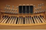 Organ of the Week