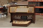 Organ of the Week