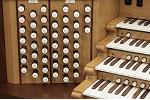 Organ of the Week