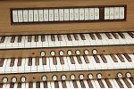 Organ of the Week