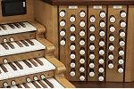 Organ of the Week