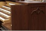 Organ of the Week
