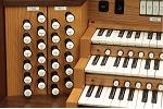 Organ of the Week