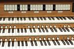 Organ of the Week