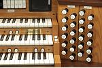 Organ of the Week