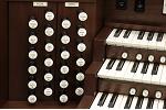 Organ of the Week