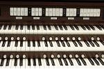Organ of the Week