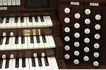 Organ of the Week