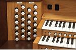 Organ of the Week