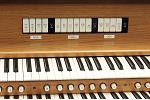 Organ of the Week
