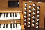 Organ of the Week