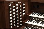 Organ of the Week