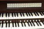 Organ of the Week