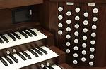 Organ of the Week