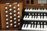Organ of the Week