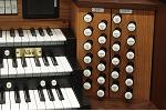 Organ of the Week