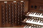 Organ of the Week