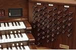 Organ of the Week