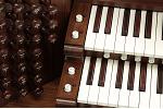 Organ of the Week