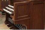 Organ of the Week