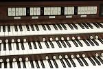 Organ of the Week