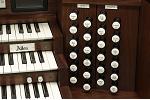 Organ of the Week