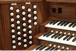 Organ of the Week