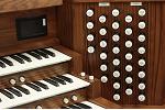 Organ of the Week