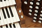 Organ of the Week