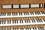 Organ of the Week