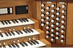Organ of the Week