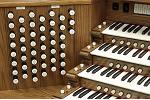 Organ of the Week