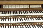 Organ of the Week